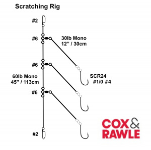 Cox & Rawle Scratching 3 Hook Flapper Rig